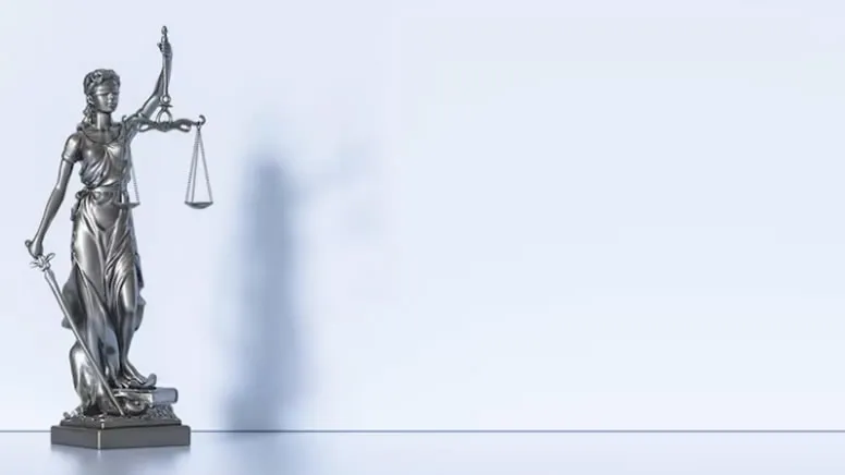 Miras Bırakanın Sonradan Edindiği Malların Paylaşımı